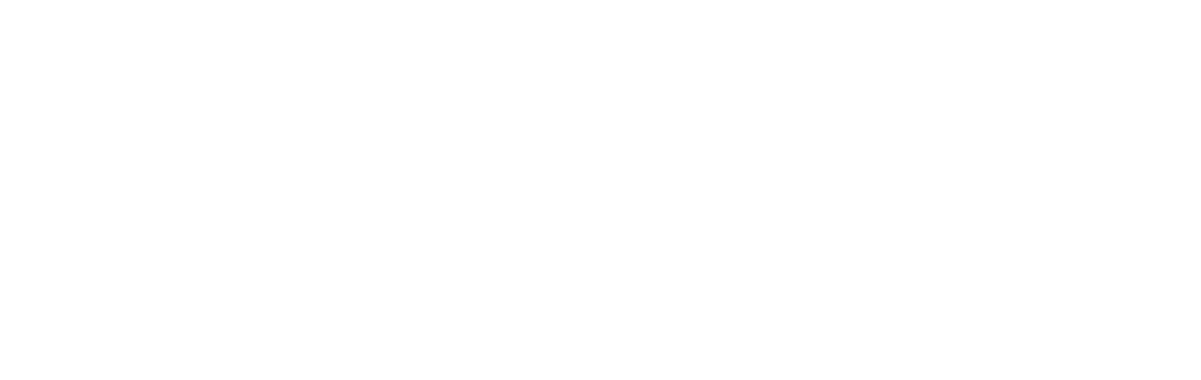FXnST Logo white